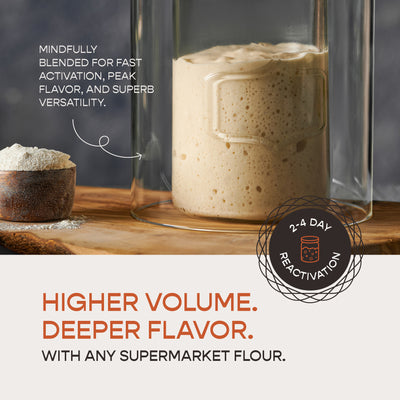 The Dual-Flour Starter • Dehydrated Chips • 10 Grams