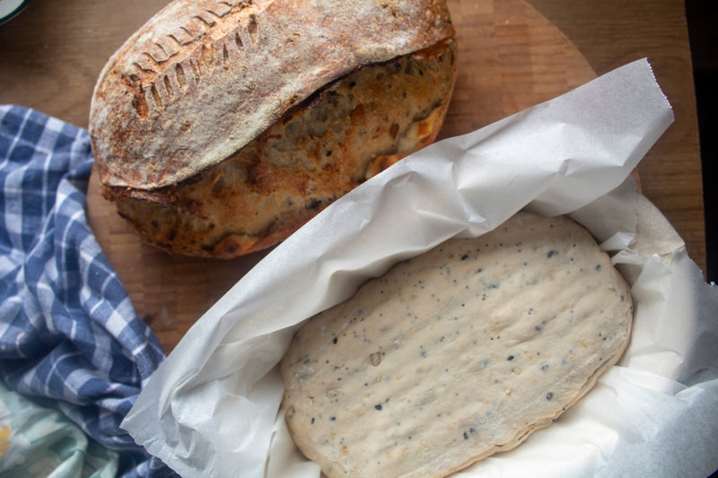 NYC Bagel-Style Sourdough Loaf