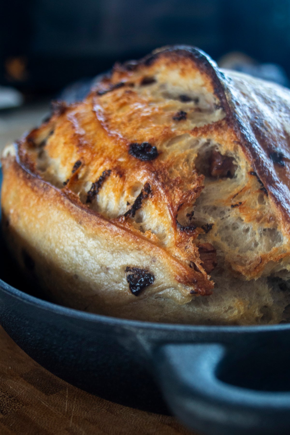 Candied Walnut Chocolate Chip Sourdough