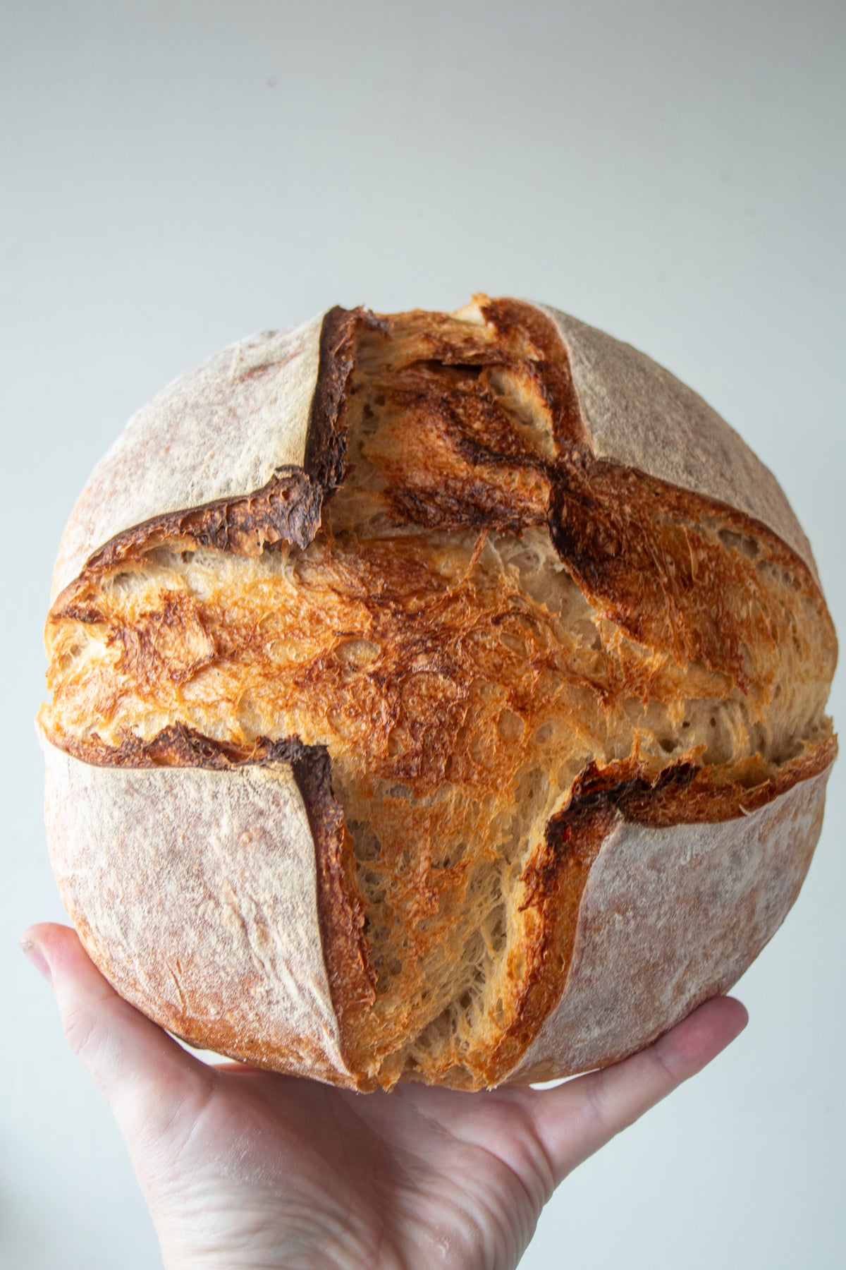 Cocoa Swirl Sourdough Loaf